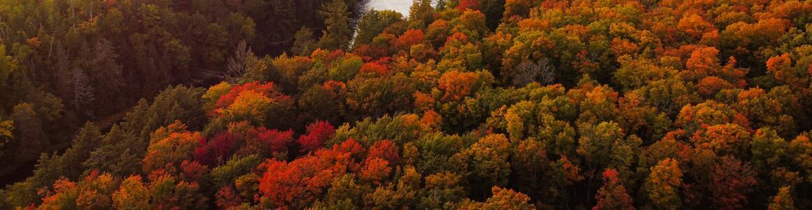 Autumn Subscription Boxes Autumn Subscription Boxes